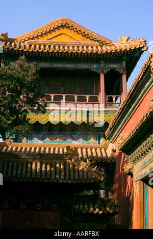 Imperial-Garten an der verbotenen Stadt ehemalige Kaiserpalast Peking China Stockfoto