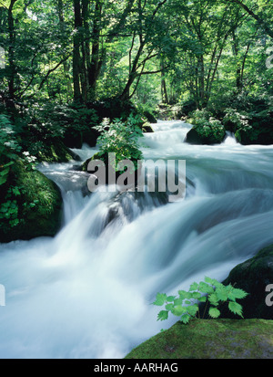 Stream bei Oirase in der Präfektur Aomori Stockfoto