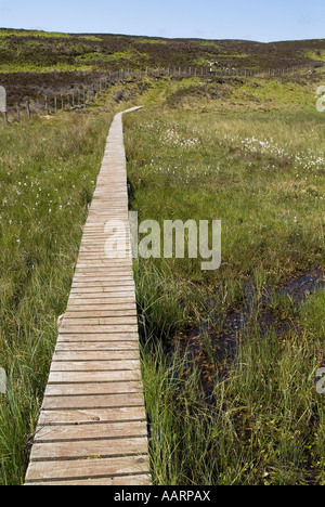 dh FUßWEG CAITHNESS hölzerne Holzrost über Sumpfland Stockfoto