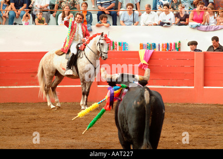 Ein Picador auf dem Pferderücken hält einen anderen blühenden Bandeirilhas bei einem Stierkampf in Graciosa, Azoren, Portugal Stockfoto