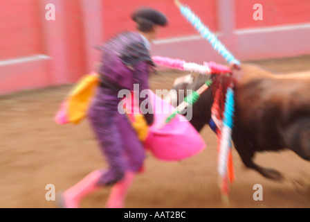 Ein Matador vermeidet die Ladung eines Stiers beim Pflanzen ein weiteres Bandeirilhas in einen Stier beim Stierkampf auf den Azoren, Portugal Stockfoto