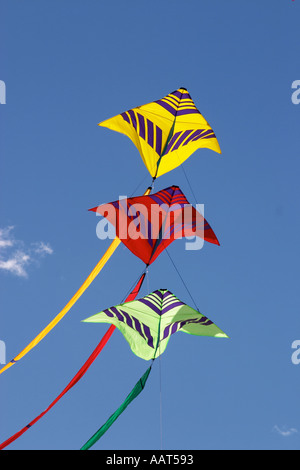 Drachen fliegen auf dem Festival des Windes am Bondi Beach-Sydney Stockfoto