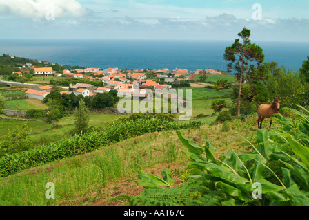 Hafen-Stadt des Lages auf der Insel Flores auf den Azoren. Flores Blumen übersetzt und ist die Insel der Blumen genannt. Stockfoto