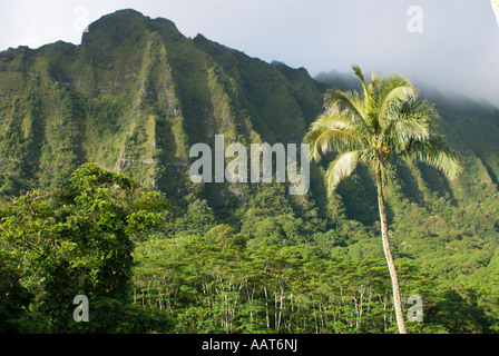 Koolau Mountains, Oahu, Hawaii Stockfoto