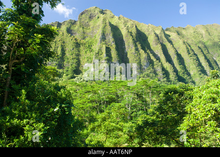 Koolau Mountains, Oahu, Hawaii Stockfoto