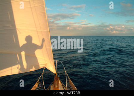 Ein Solo Segler auf eine Trans Atlantic Passage freut sich und wirft seine Schatten auf das Segel Stockfoto