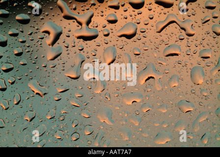 Wassertropfen auf Glas Stockfoto