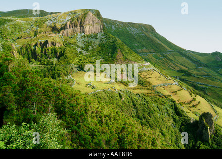 Die Hortensie bedeckt Landschaft von Flores, einer der Inseln der Azoren Stockfoto