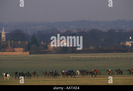 Rennpferde Warren Hill Newmarket Heath, tägliche Bewegung, Jockeys, die von den morgendlichen Galopprennen zurückkehrten Suffolk UK 1993 1990s HOMER SYKES Stockfoto