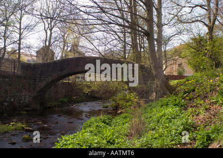 Alte Steinbrücke über den Fluss Colne Marsden Stockfoto