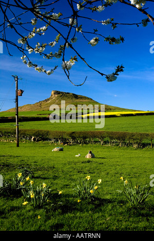 Nähe Topping aus North Yorkshire Aireyholme Farm Stockfoto
