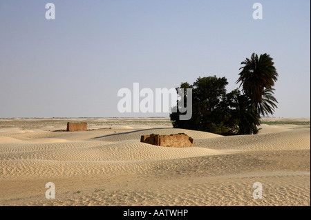 Zerstörte verlassene Gebäude und kleine Oase in der wüste sahara In Douz Tunesien als die Sanddünen greifen menschliche Siedlung In der Wüstenbildung Stockfoto