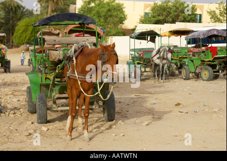 Pferd und Wagen warten auf Touristen zur Besichtigung der Oase in Tozeur Tunesien erscheinen Stockfoto