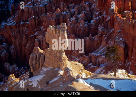 Winter in Bryce Canyon Nationalpark Utah USA Stockfoto