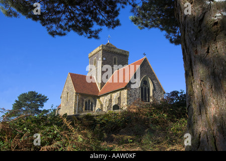 St. Martha-Kirche, umrahmt von einer Schotten-Kiefer Stockfoto