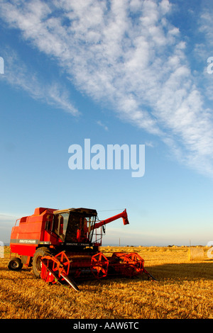 Leuchtend rot Mähdrescher in einem abgeernteten Feld verstreut mit Heuballen unter blauem Himmel mit einem Streifen von gebrochenen cloud Stockfoto