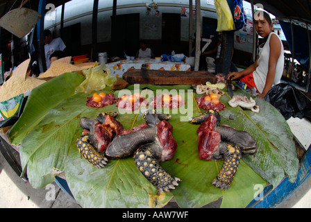 GELB-FOOTED Schildkröte Fleisch zum Verkauf Belen Market, Iquitos, Peru. Stockfoto