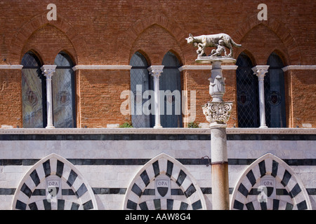 Statue von Wolf Fütterung von Romulus und Remus in der Palazzo Duomo Platz Siena Italien Europa EU Stockfoto