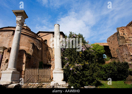 Forum Romanum in Rom Italien Europa EU Stockfoto