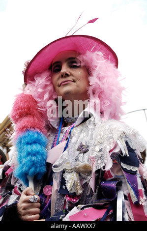 Fegt Lady Rochester Stockfoto