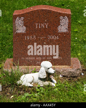 Grabstein für den Hund sehr klein auf dem Hartsdale Pet Cemetery in Hartsdale New York Stockfoto