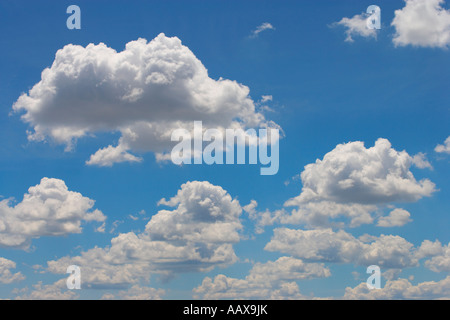 schöne saubere blaue Himmel mit geschwollenen Wolken Stockfoto