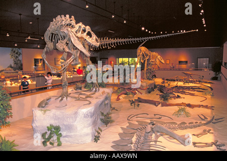 Elk256 1994 North Dakota Dickinson Dakota Dinosaur Museum Stockfoto