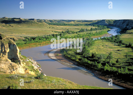 Elk256 2251 North Dakota Theodore Roosevelt NP Little Missouri River Valley Wind Canyon Stockfoto