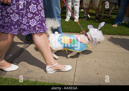 Haute Dog Ostern Parade Belmont Shores California Vereinigte Staaten von Amerika Stockfoto