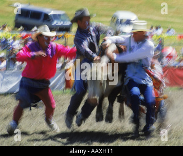 Clowns und Reiter Umgang mit Ruckeln in Rodeo auf der Südinsel Neuseelands zu steuern Stockfoto