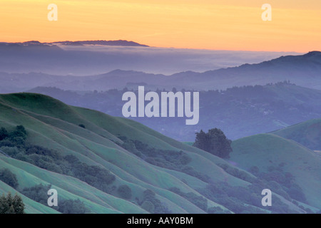 Ridge Tops bei Sonnenaufgang zeigt Hänge von der East Bay Area in unberührte Tilden Park in Kalifornien Stockfoto