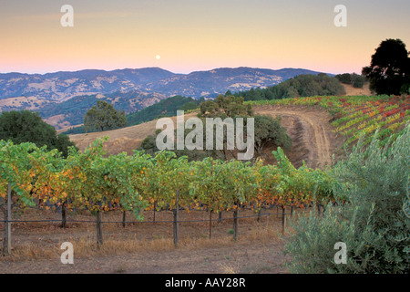 Weingut in den Bergen von Nord-Kalifornien bei Sonnenuntergang mit Harvest Moon erhebt sich über Weinberge in Herbstfarben horizontale Stockfoto