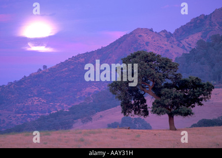 Vollmond über Bergen in einem lila Himmel mit Wolken in der Nähe einer Eiche Baum und Mountain Peak horizontale Stockfoto