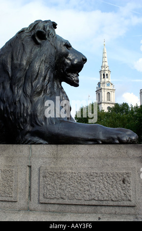 Löwenstatue am Trafalgar Square in London Stockfoto