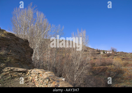 Europa Spanien Andalusien Sierra Nevada Berge Stockfoto