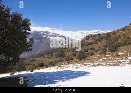 Europa Spanien Andalusien Sierra Nevada Berge Stockfoto