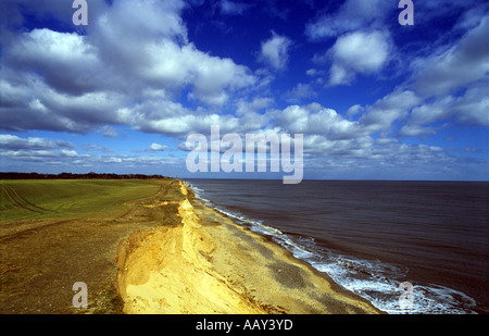 Ackerland bei Covehithe in Suffolk, die den britischen Rekord für Küstenerosion und möglicherweise den Weltrekord hält. Stockfoto