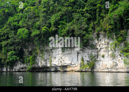 Klippe, auf der Küste von Rio Dulce, Guatemala, Mittelamerika Stockfoto