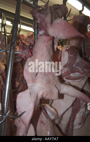 Rote Fleisch verarbeitenden Fabrik alle Bilder mit konzent des Eigentümers Stockfoto