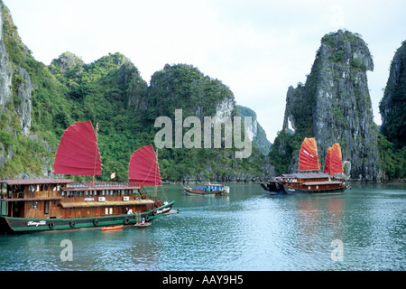 Touristischen Junk-e-Kreuzfahrt Boote mit roten Segeln, Halong Bucht, Vietnam Stockfoto