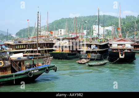 Hölzerne touristischen Kreuzfahrt Boote im Hafen, Bai Chay Port, Halong Bucht, Vietnam Stockfoto