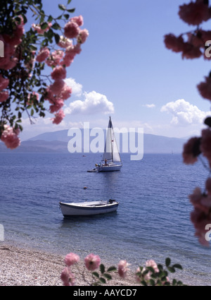 Rosafarbene Blumen mit Blick auf die Bucht von Agni, eine Bucht mit Kieselstrand und einem kleinen Segelboot auf dem Ionischen Meer, vom Wasser aus gesehen Taverna Korfu Insel Griechenland Stockfoto