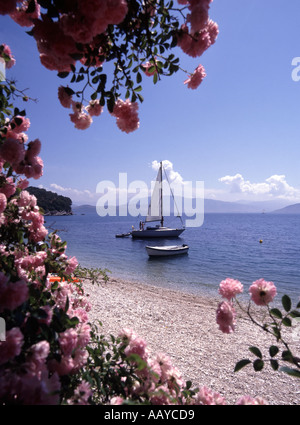 Rosafarbene Blumen mit Blick auf die Bucht von Agni, eine Bucht mit Kieselstrand und einem kleinen Segelboot auf dem Ionischen Meer, vom Wasser aus gesehen Taverna Korfu Insel Griechenland Stockfoto