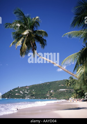 1997 feiner Sand am Palmenstrand und an der Küste am blauen Himmel in der tropischen Karibik Cane Garden Bay Tortola, Familien der britischen Jungferninseln weit entfernt Stockfoto