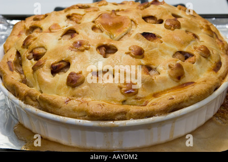 Apfelkuchen aus dem Ofen heiß Stockfoto