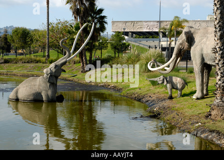 Reproduktionen, Modelle, der ausgestorbene Coumbian Mammut, Mammuthus Columbi vor Page Museum, Los Angeles, Kalifornien Stockfoto