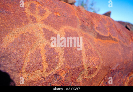 Aborigine-Felskunst, Western Australia. Stockfoto