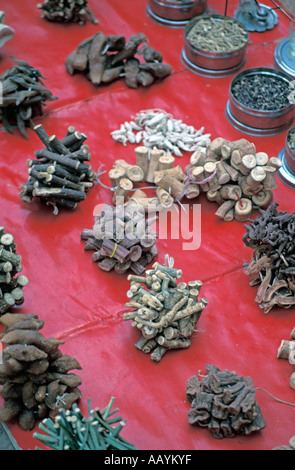 Ayurveda-Medizin, Indien. Stockfoto