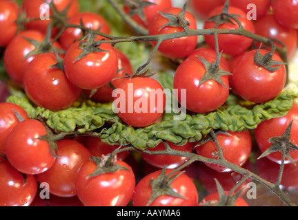 Kirschtomaten Stockfoto