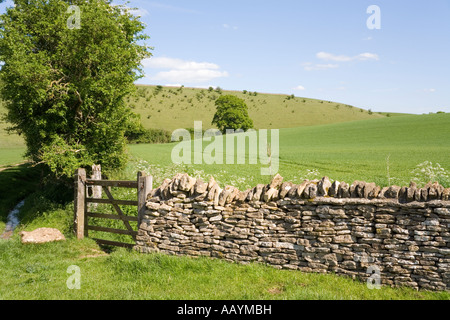 Eine Trockensteinmauer und eine hügelige Cotswold-Landschaft in der Nähe des Cotswold-Dorfes Turkdean, Gloucestershire, Großbritannien Stockfoto